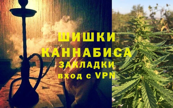сатива Алексин