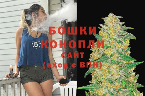 сатива Алексин
