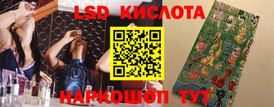 ГАЛЛЮЦИНОГЕННЫЕ ГРИБЫ Донской