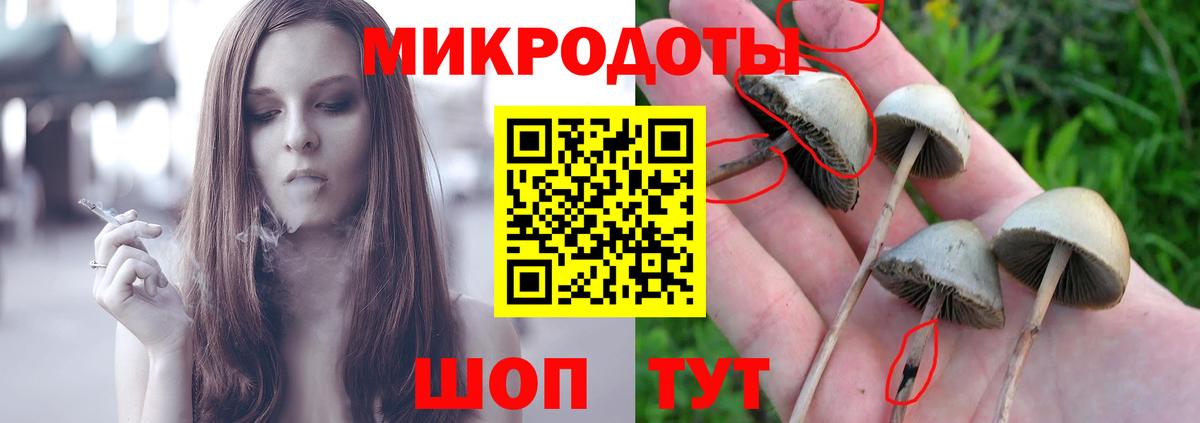 наркотики  Галлюциногенные грибы MAGIC MUSHROOMS  Вход с VPN  Красногорск 